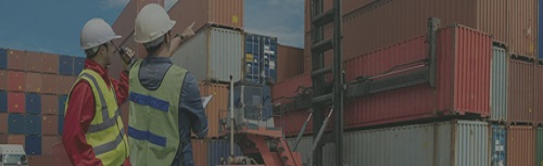 LOGÍSTICO LOGÍSTICO